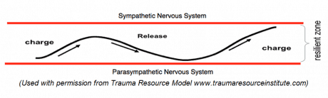 sympathetic nervous system