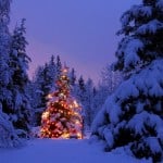 Merry Christmas! christmas-scene-2014