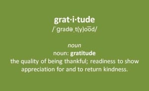 definition of gratitude