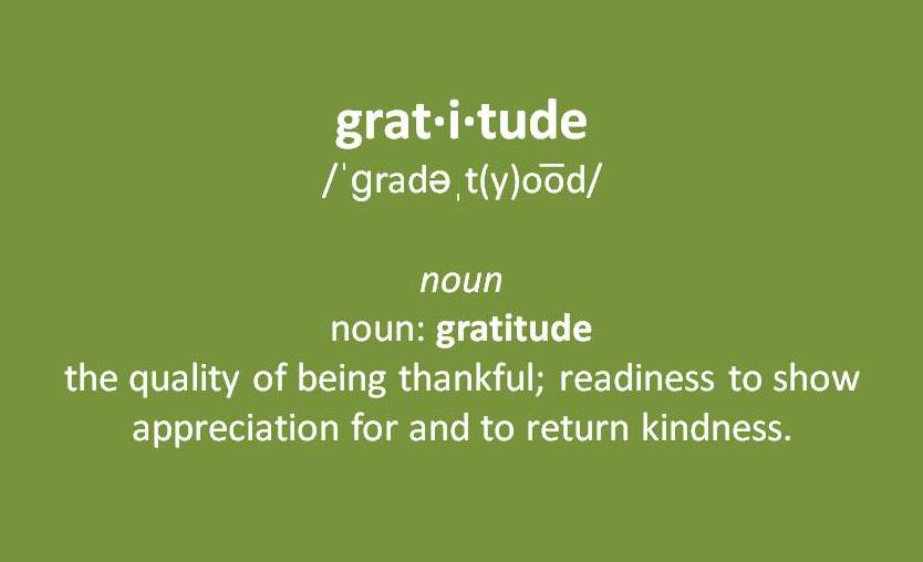 Cultivating an Attitude of Gratitude