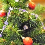 How Was Your Christmas This Year? Christmas tree_upclose