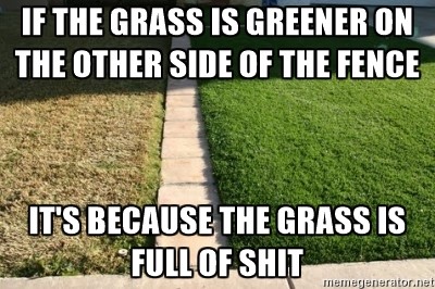 grass full of shit