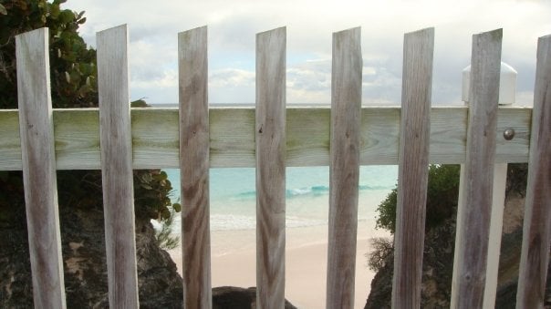 fence sitting