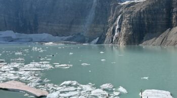 taking action in affair recovery